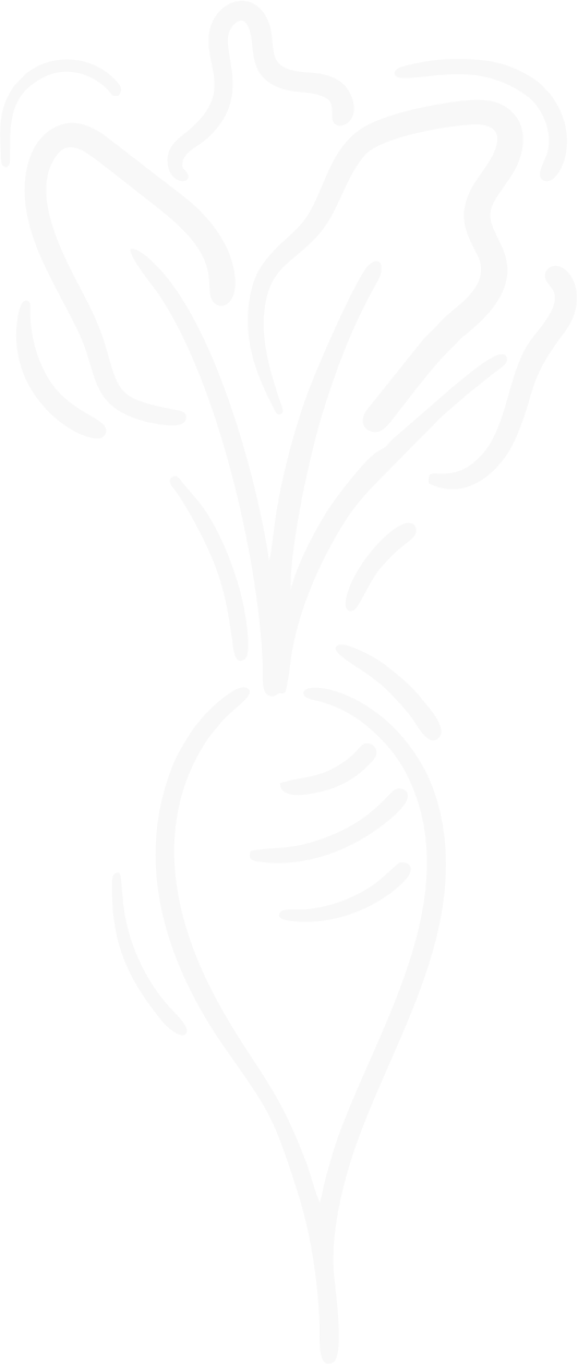 seker-pancarı-png